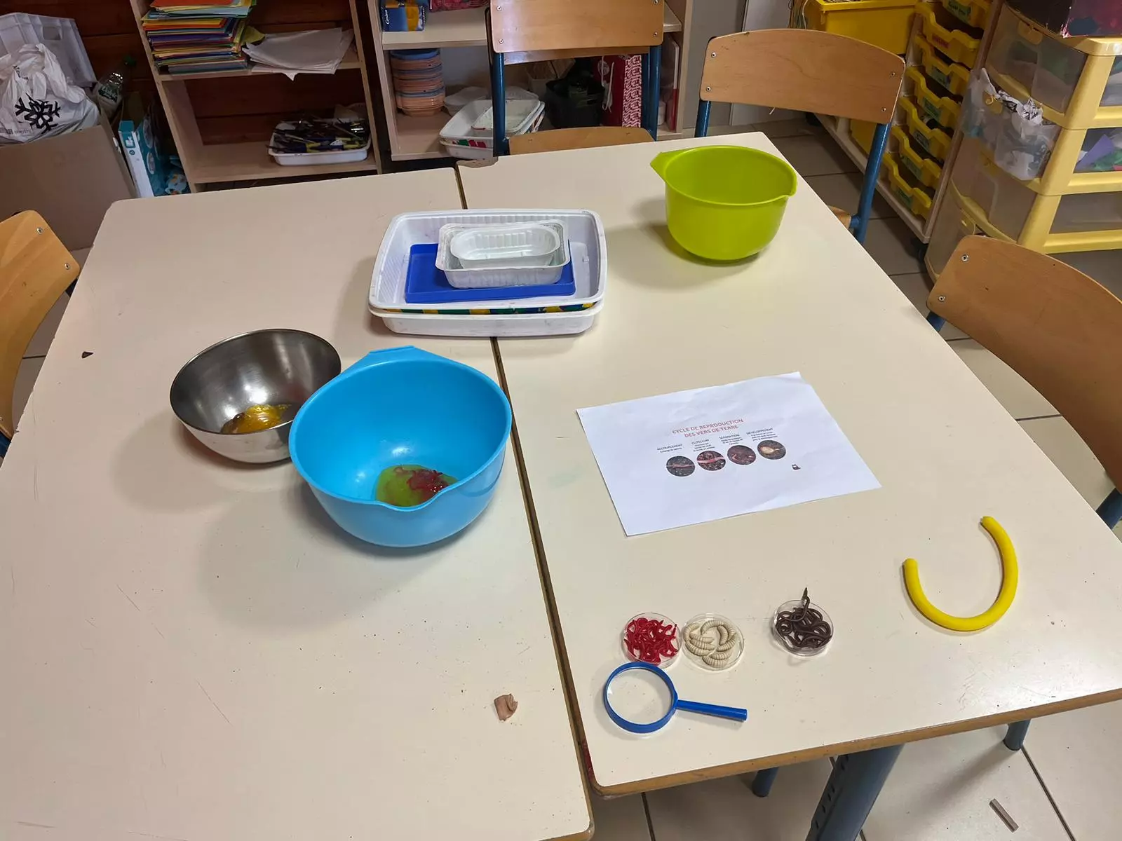 Centre de Bains & Solignac - Mercredis - Galerie Les vers de terres