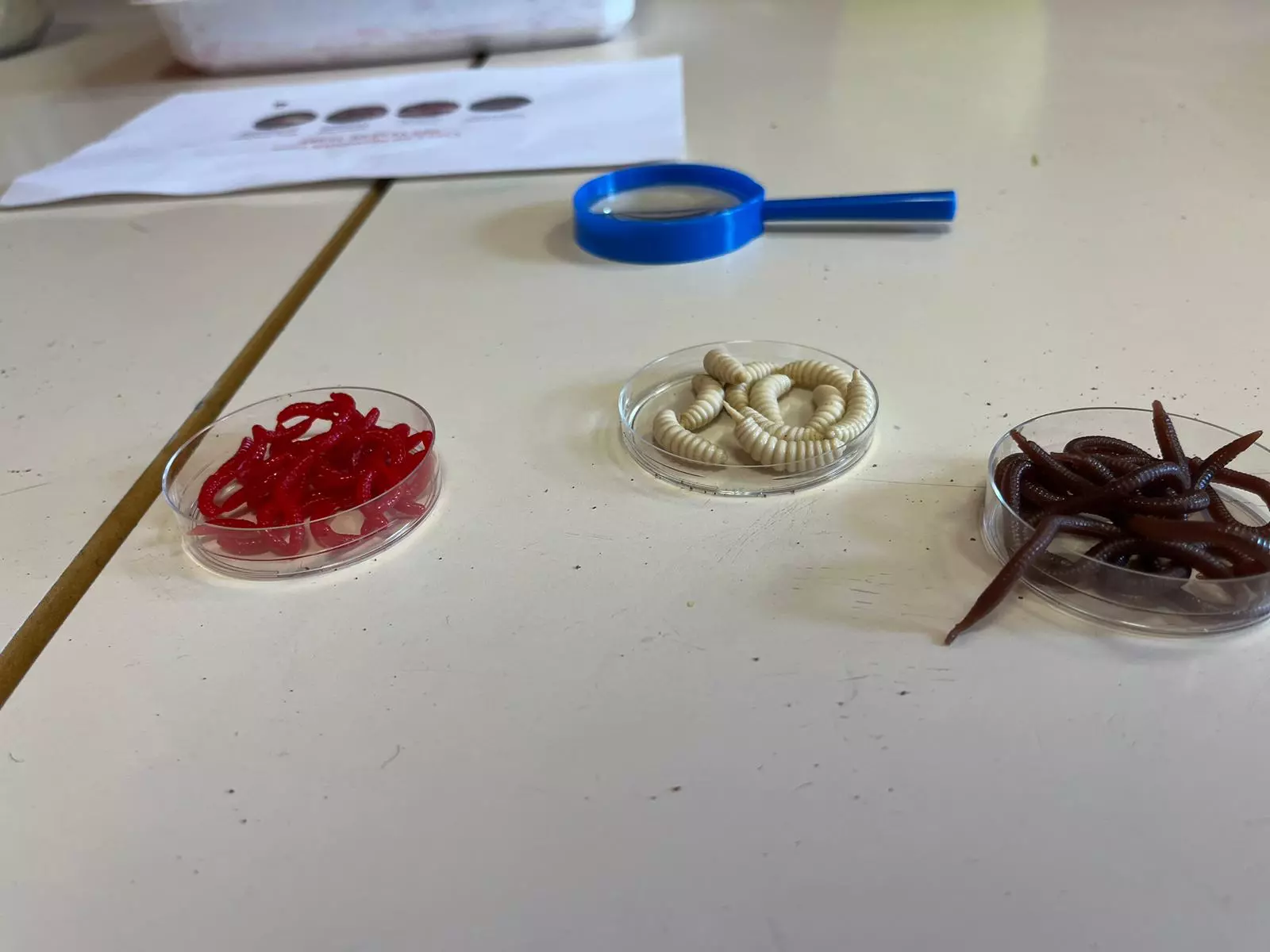 Centre de Bains & Solignac - Mercredis - Galerie Les vers de terres