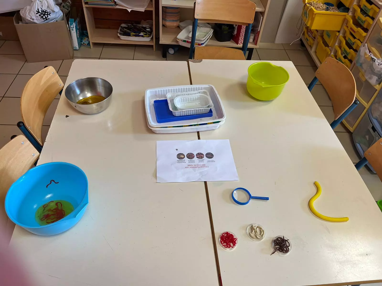 Centre de Bains & Solignac - Mercredis - Galerie Les vers de terres