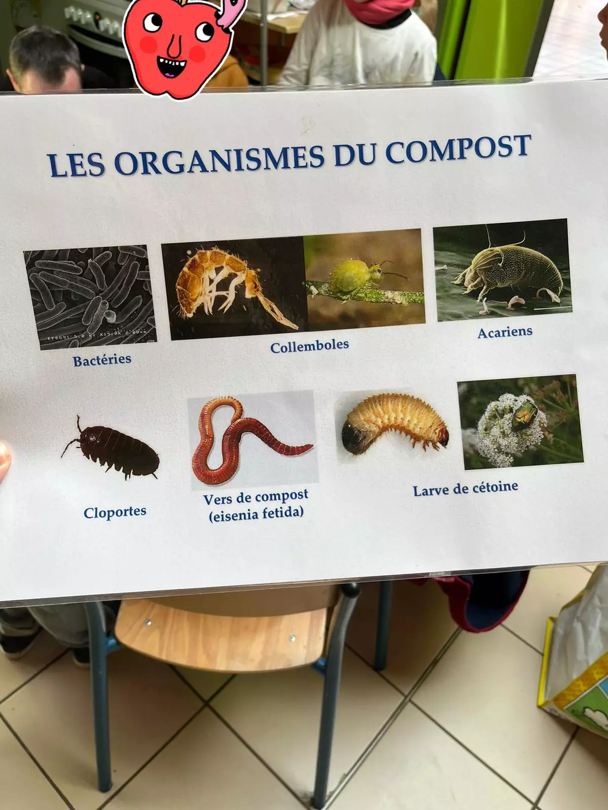 Centre de Bains & Solignac - Mercredis - Galerie Les vers de terres