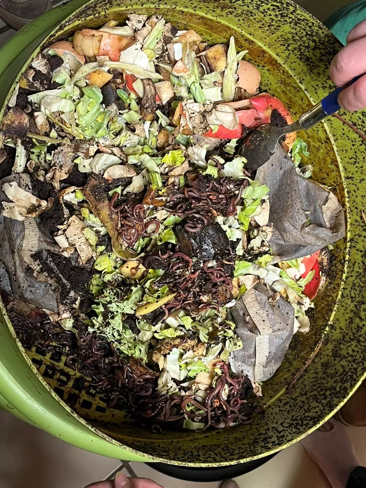 Centre de Bains & Solignac - Mercredis - Galerie Les vers de terres