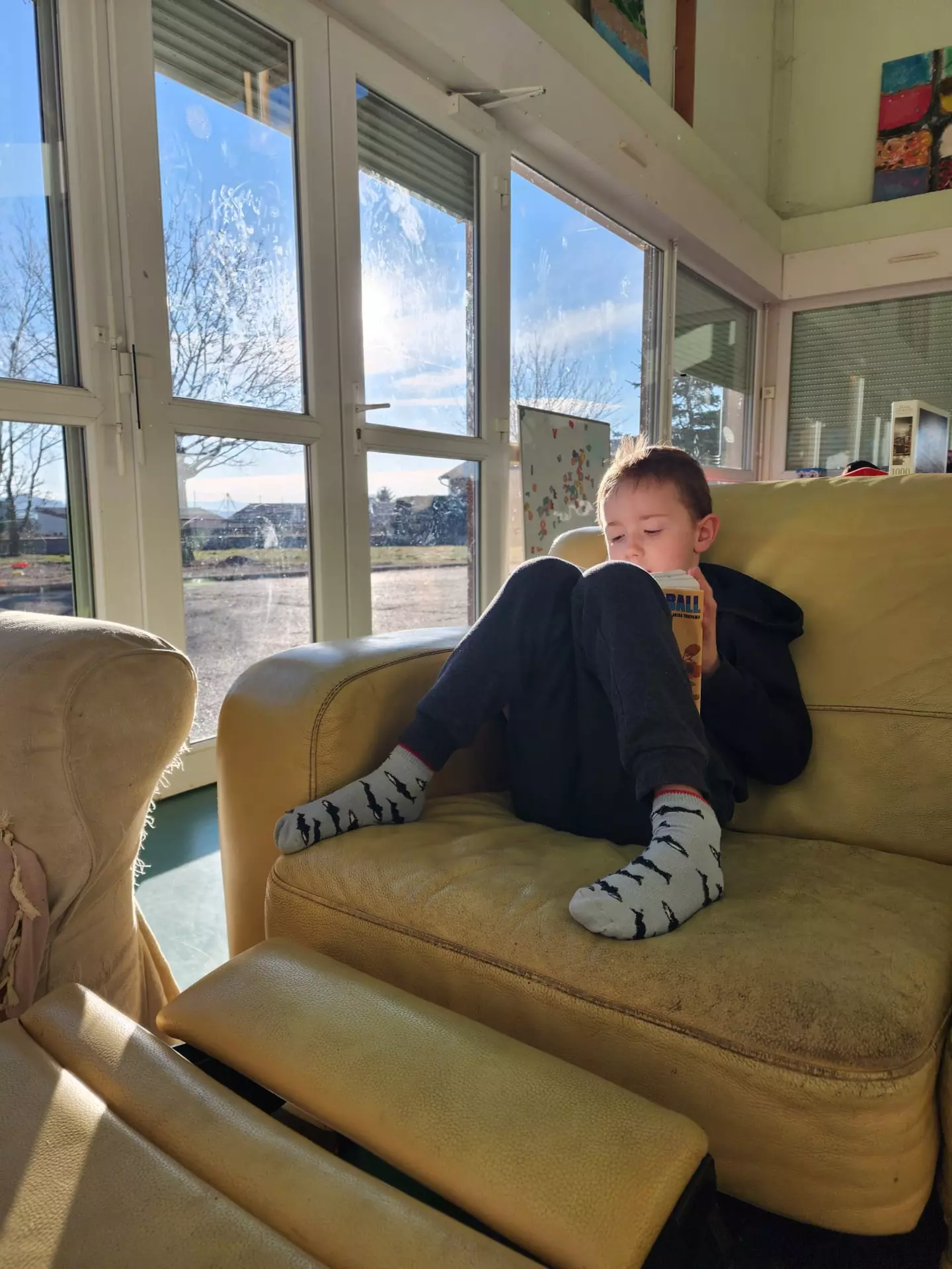 Centre de Velay Ouest (Loudes) - Vacances - Galerie Hiver 2025 "Les Arbres"