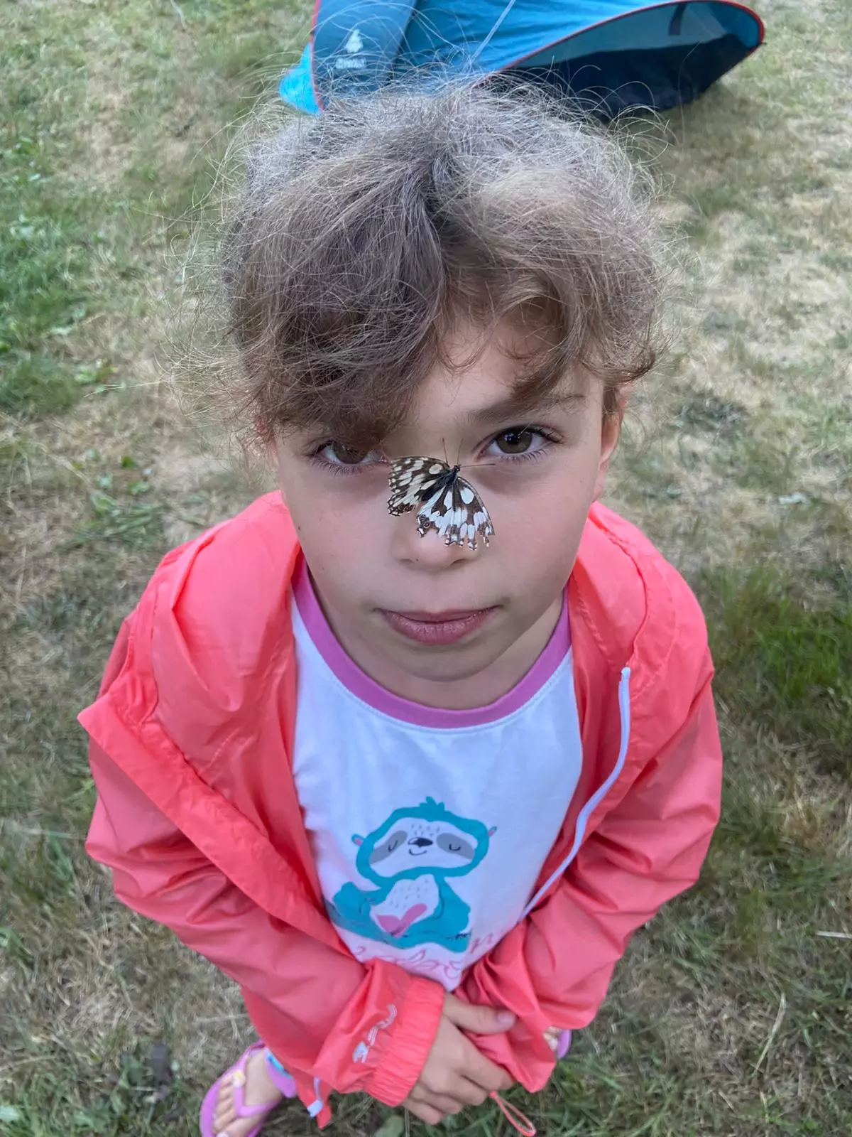 Centre de Siaugues Sainte Marie - Vacances - Galerie Eté 2025