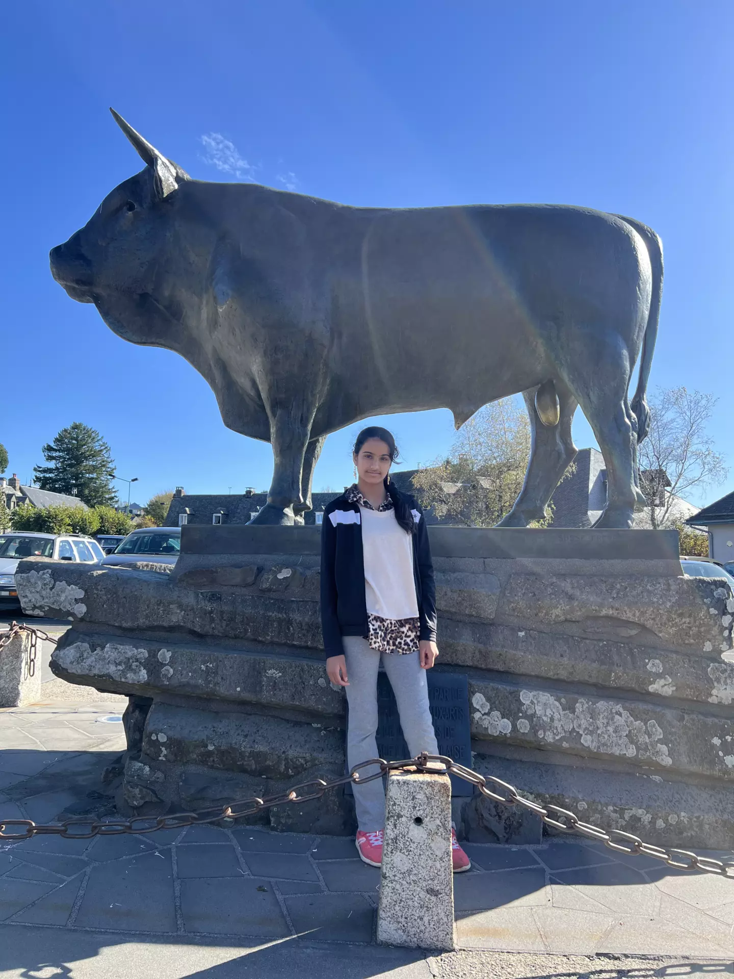 Centre de Langeac (Val Fleuri) - Vacances - Galerie Camps Aveyron