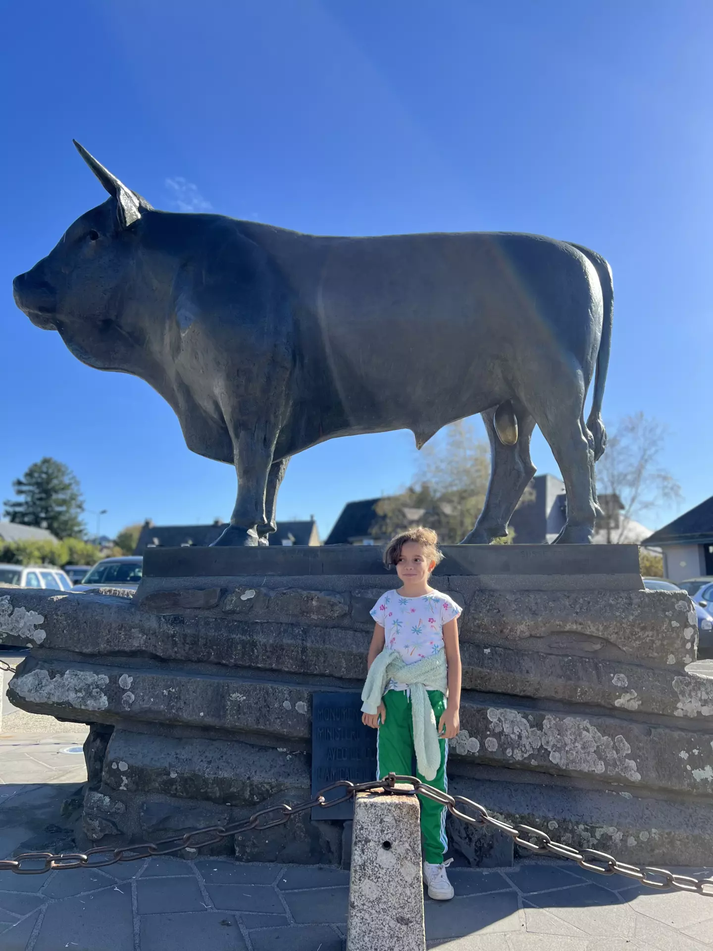 Centre de Langeac (Val Fleuri) - Vacances - Galerie Camps Aveyron