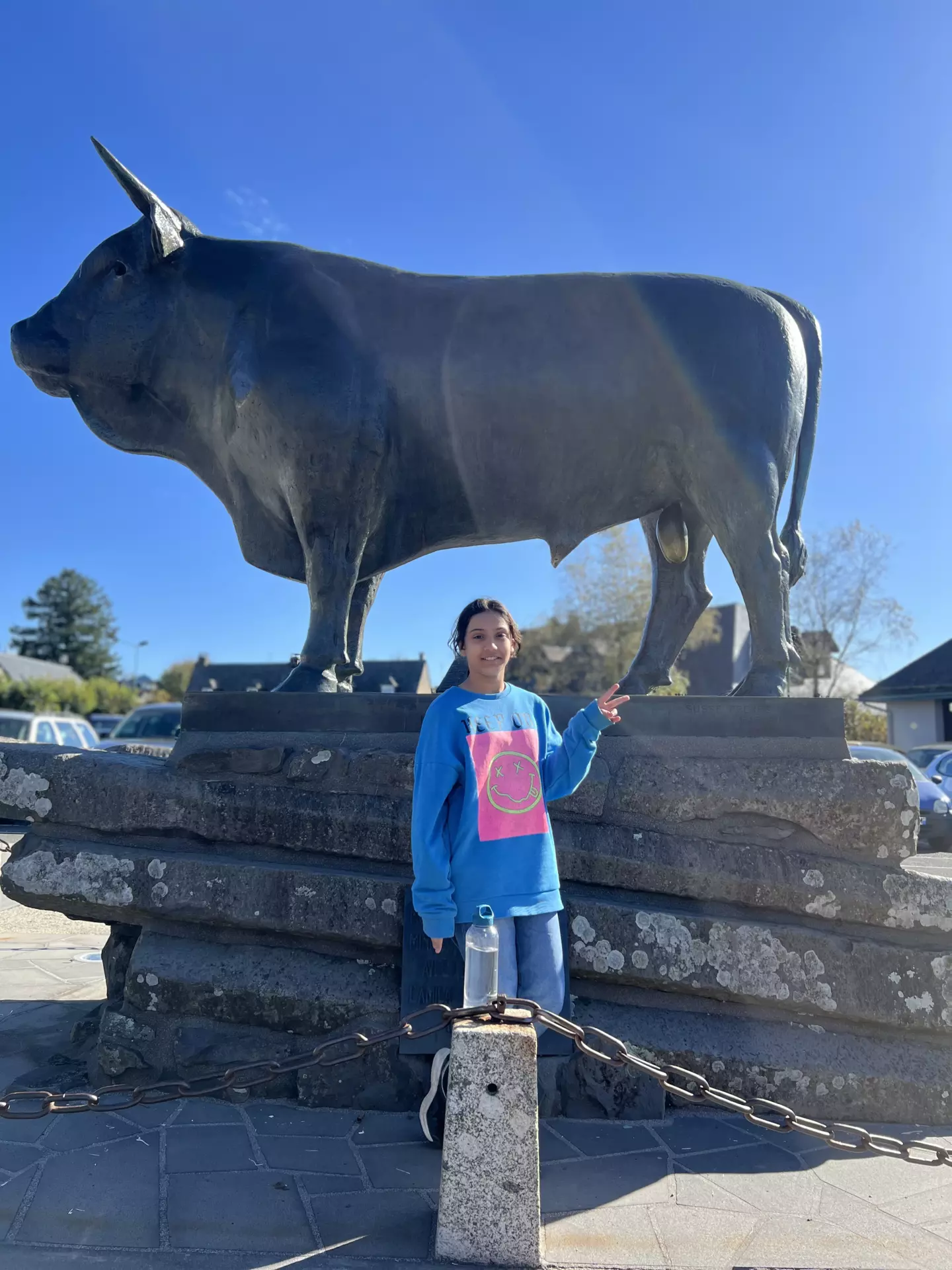 Centre de Langeac (Val Fleuri) - Vacances - Galerie Camps Aveyron