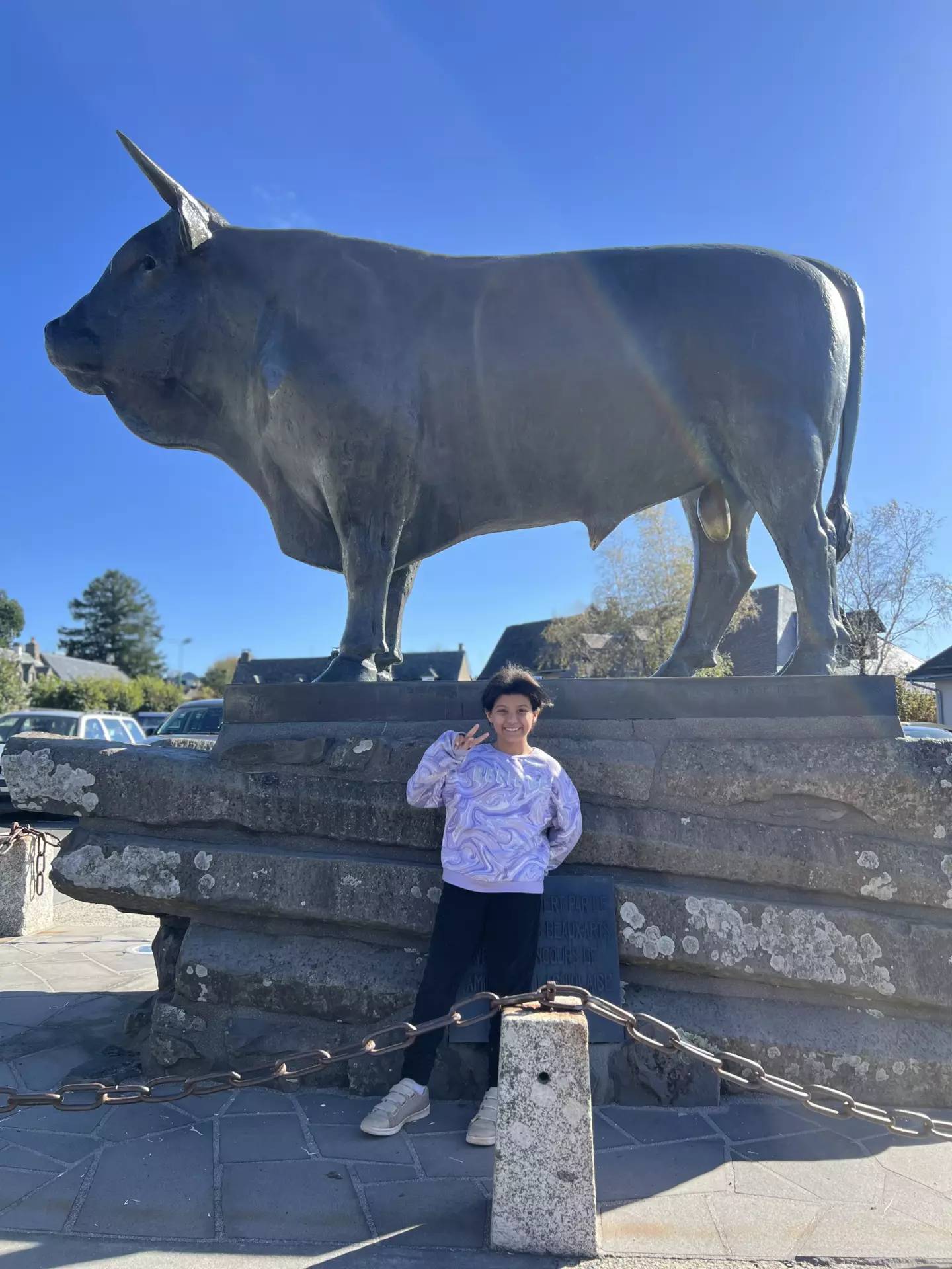 Centre de Langeac (Val Fleuri) - Vacances - Galerie Camps Aveyron