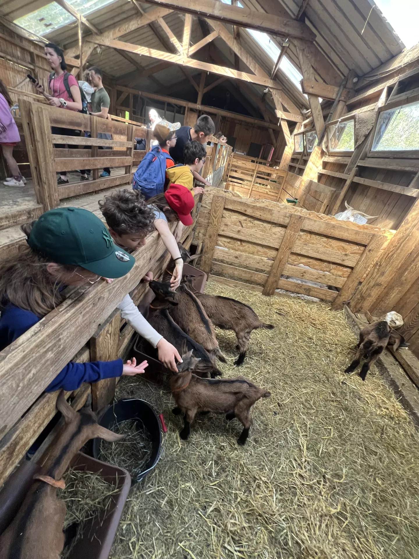 Centre de Langeac (Val Fleuri) - Vacances - Galerie Camps "Volcans & Minéraux"