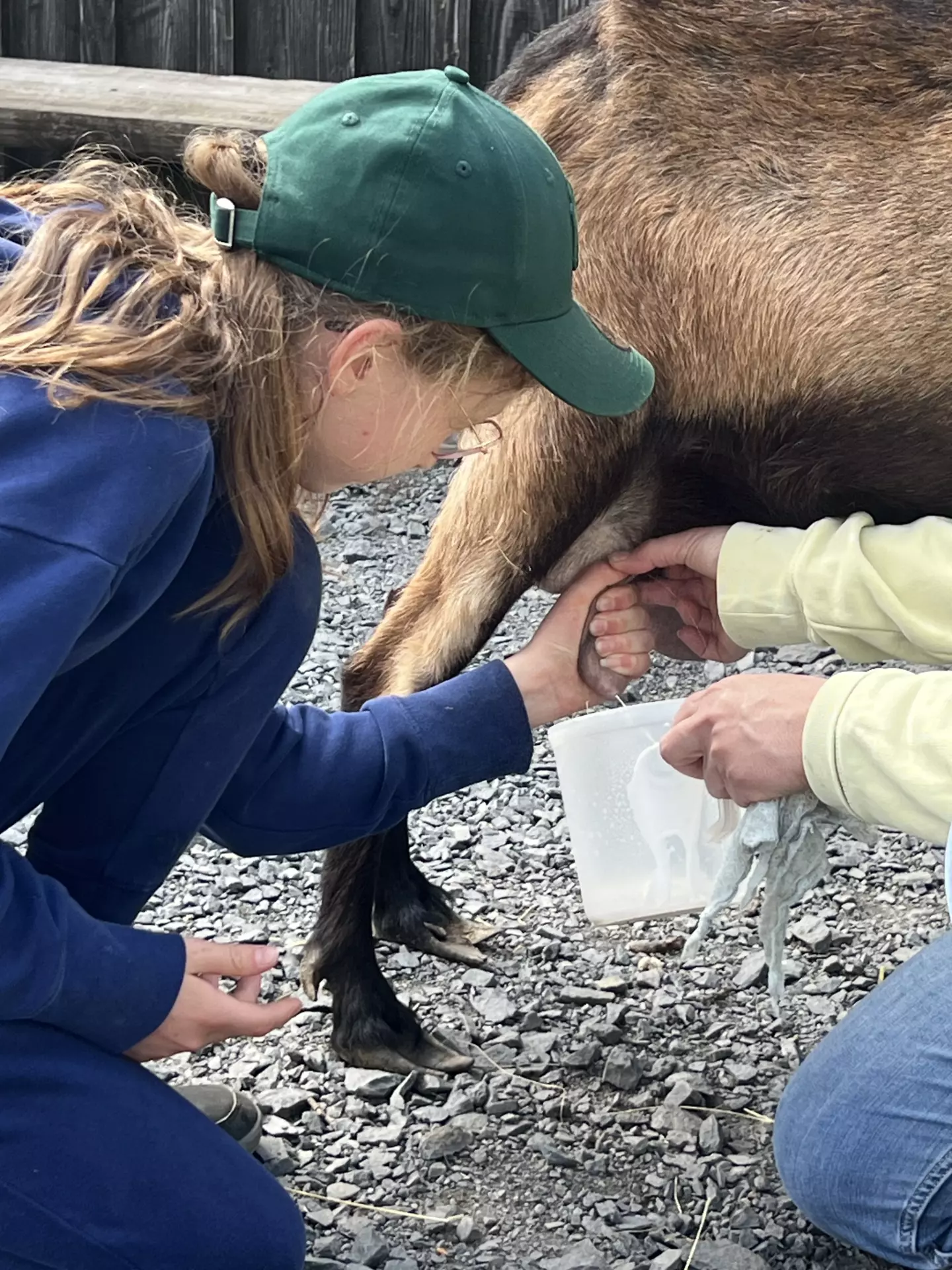Centre de Langeac (Val Fleuri) - Vacances - Galerie Camps "Volcans & Minéraux"