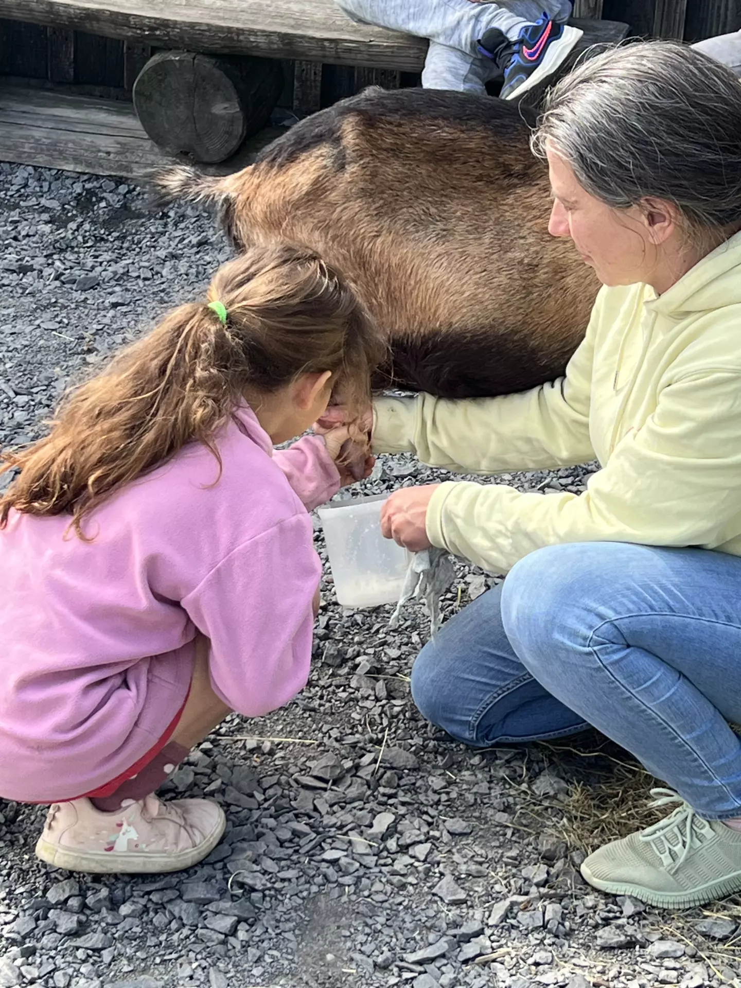 Centre de Langeac (Val Fleuri) - Vacances - Galerie Camps "Volcans & Minéraux"