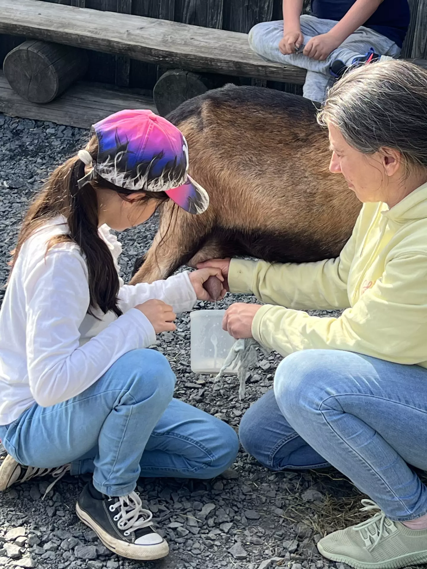 Centre de Langeac (Val Fleuri) - Vacances - Galerie Camps "Volcans & Minéraux"