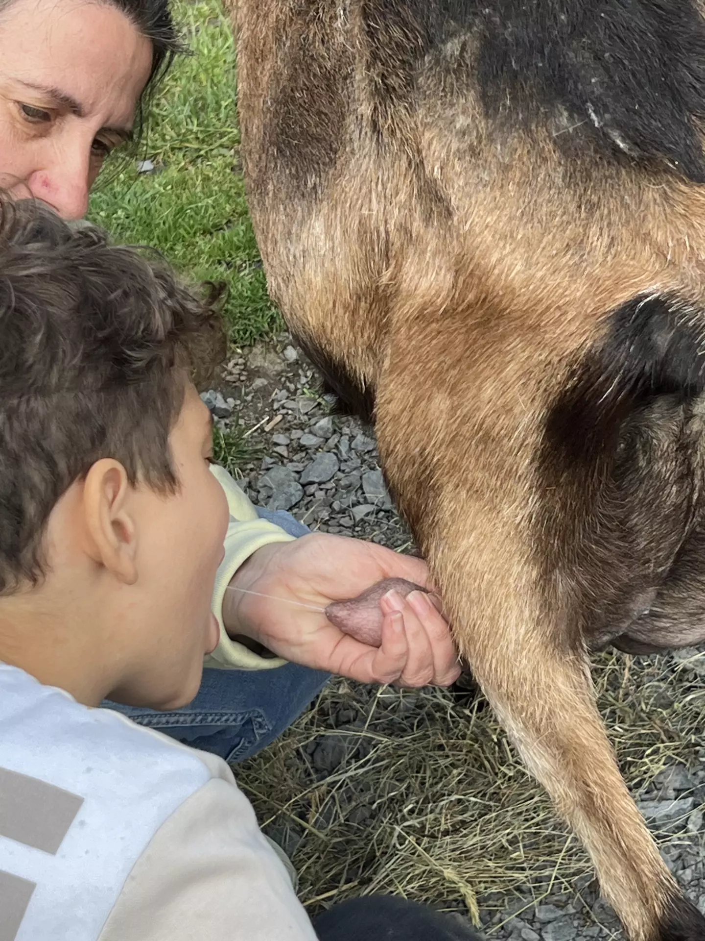 Centre de Langeac (Val Fleuri) - Vacances - Galerie Camps "Volcans & Minéraux"