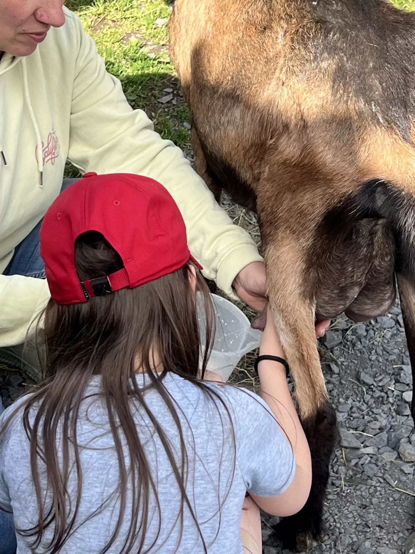 Centre de Langeac (Val Fleuri) - Vacances - Galerie Camps "Volcans & Minéraux"