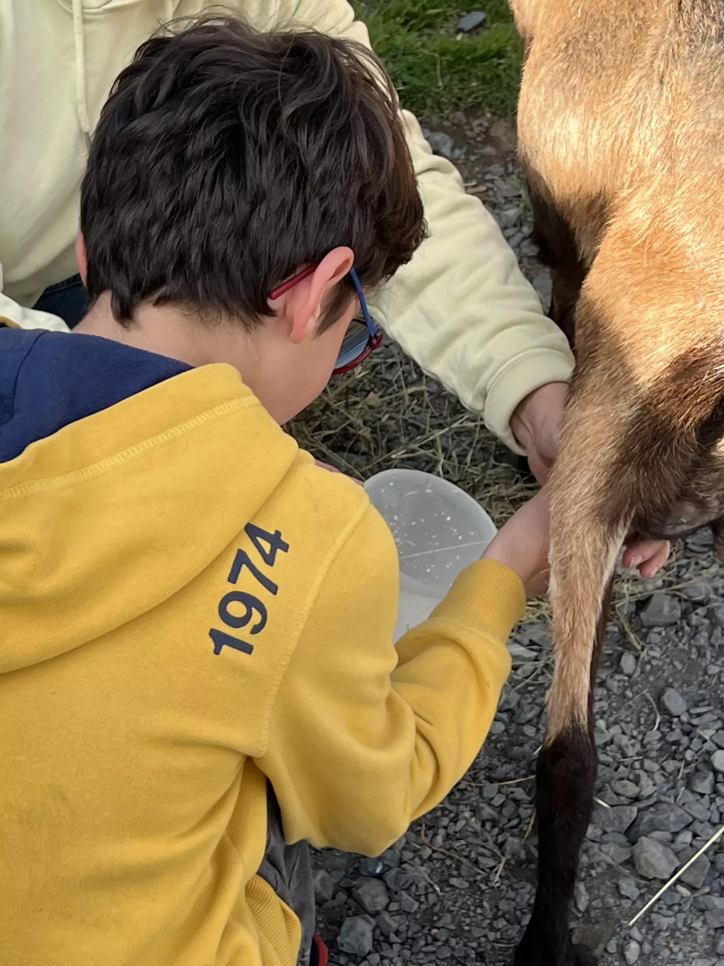 Centre de Langeac (Val Fleuri) - Vacances - Galerie Camps "Volcans & Minéraux"