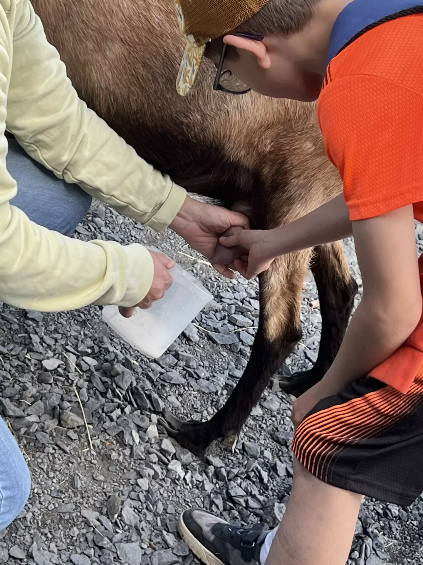 Centre de Langeac (Val Fleuri) - Vacances - Galerie Camps "Volcans & Minéraux"