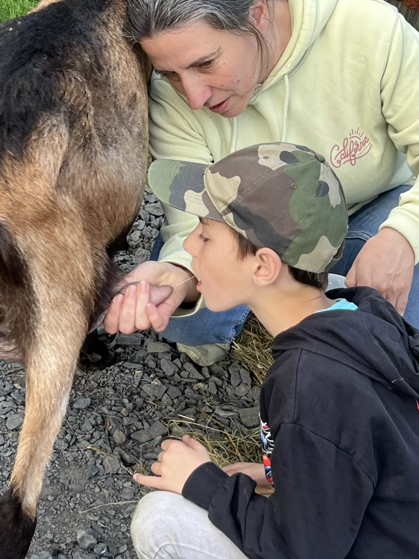 Centre de Langeac (Val Fleuri) - Vacances - Galerie Camps "Volcans & Minéraux"