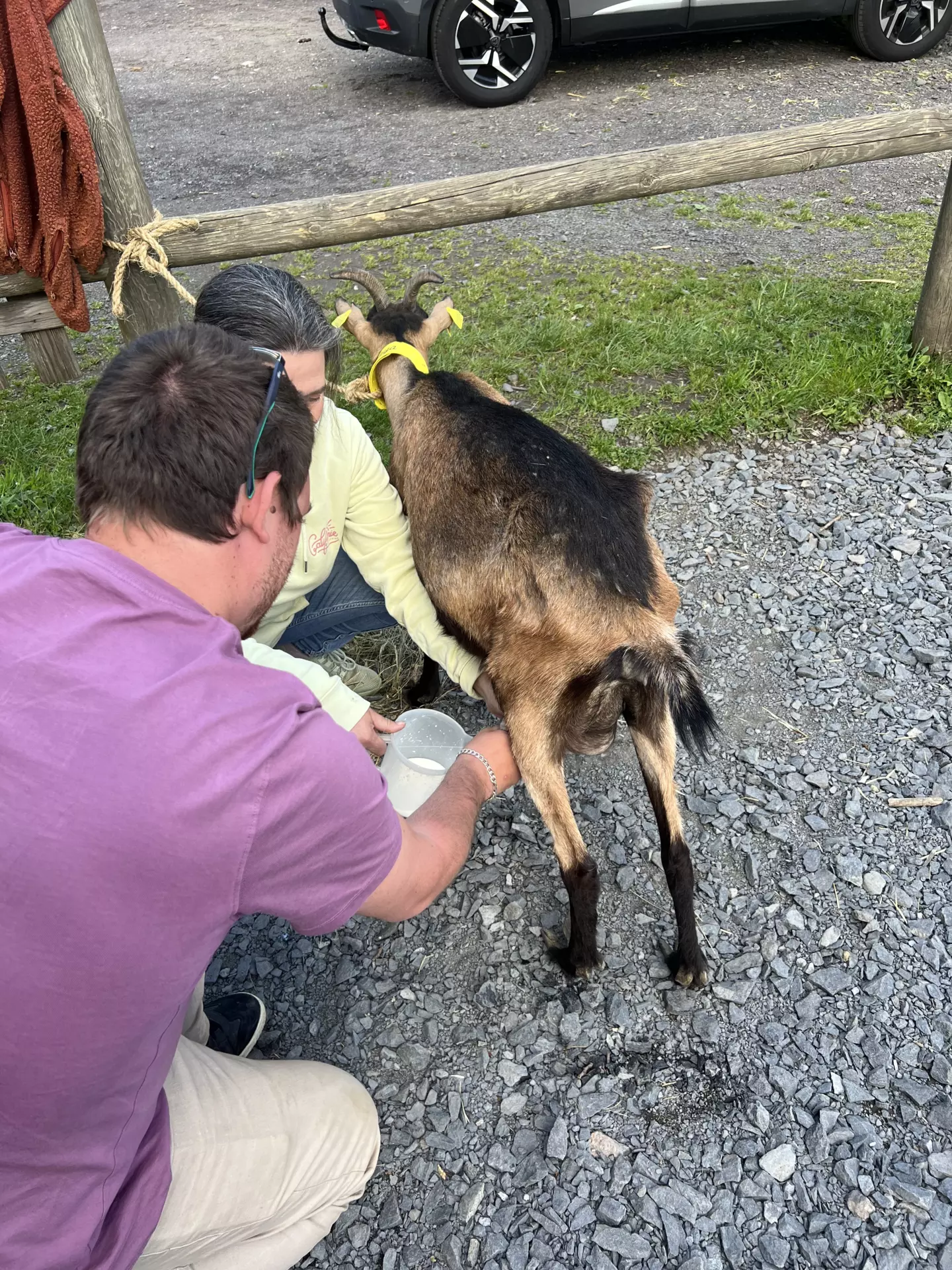 Centre de Langeac (Val Fleuri) - Vacances - Galerie Camps "Volcans & Minéraux"