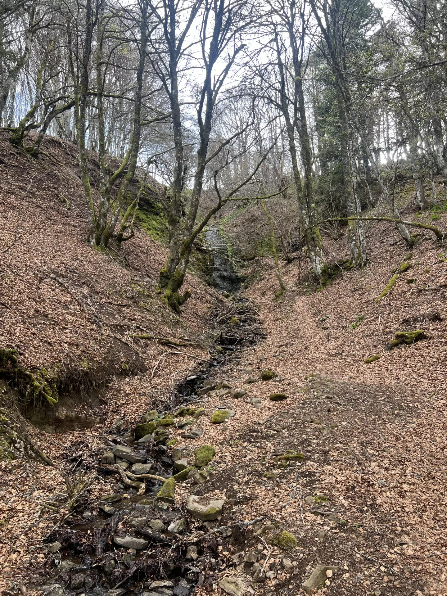 Centre de Langeac (Val Fleuri) - Vacances - Galerie Camps "Volcans & Minéraux"