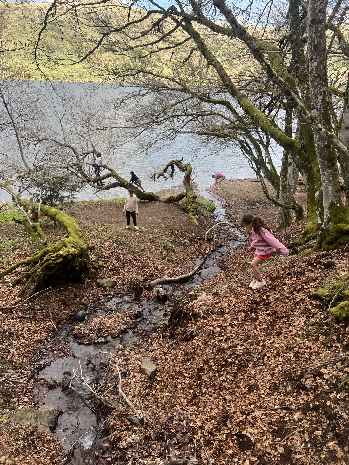 Centre de Langeac (Val Fleuri) - Vacances - Galerie Camps "Volcans & Minéraux"