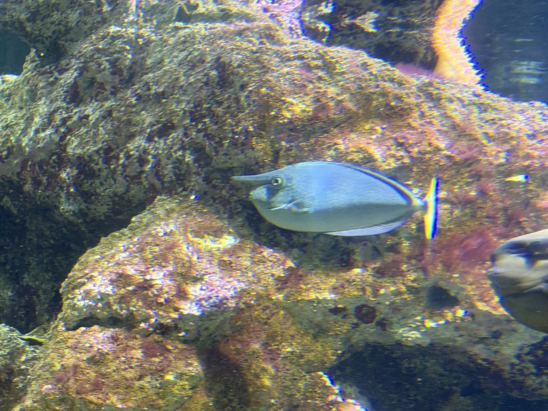 Séjour ✨ Un voyage ludique et culturel au cœur de la Normandie ✨ - Galerie La cité de la mer / deuxième jour