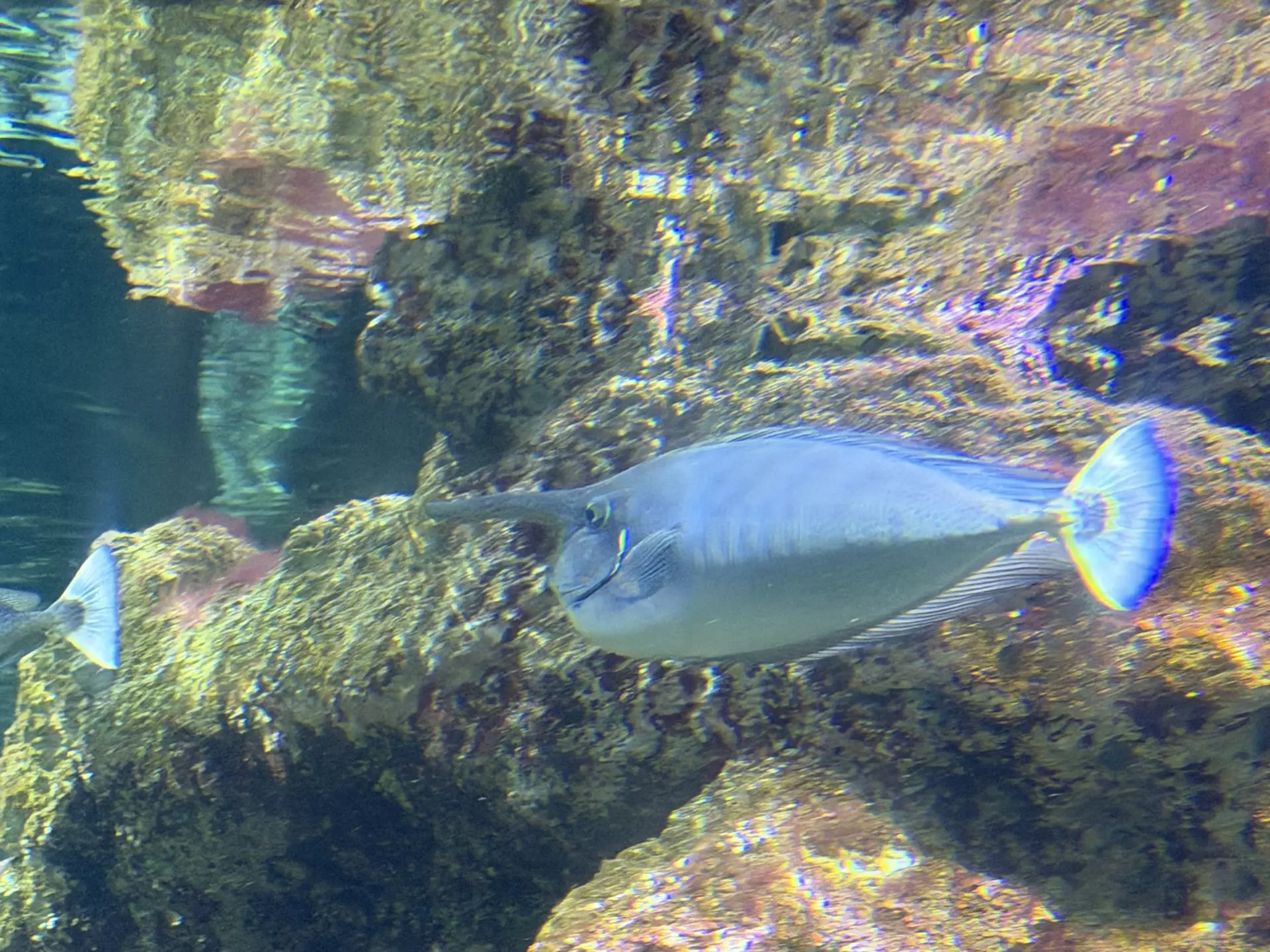 Séjour ✨ Un voyage ludique et culturel au cœur de la Normandie ✨ - Galerie La cité de la mer / deuxième jour