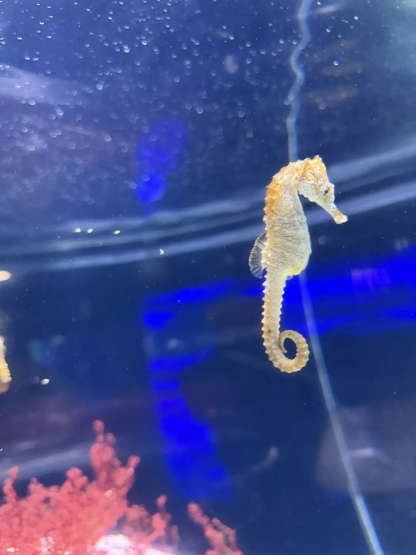 Séjour ✨ Un voyage ludique et culturel au cœur de la Normandie ✨ - Galerie La cité de la mer / deuxième jour