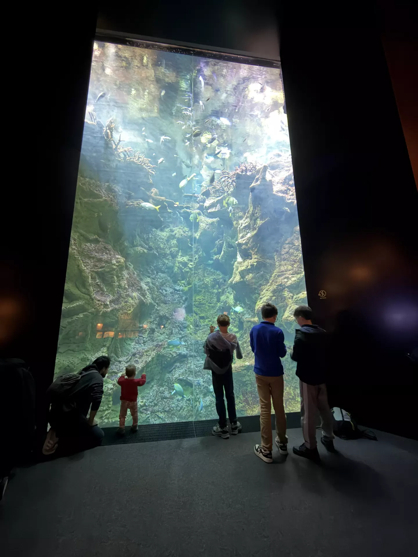 Séjour ✨ Un voyage ludique et culturel au cœur de la Normandie ✨ - Galerie La cité de la mer / deuxième jour