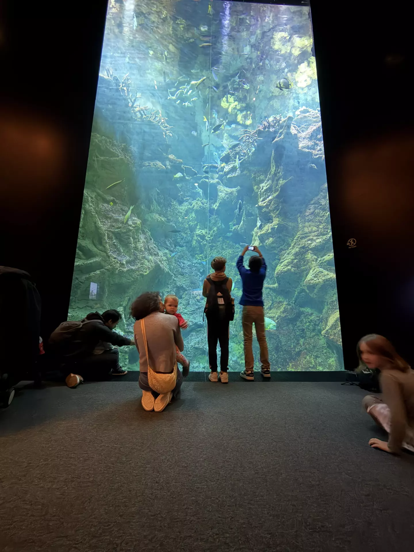Séjour ✨ Un voyage ludique et culturel au cœur de la Normandie ✨ - Galerie La cité de la mer / deuxième jour