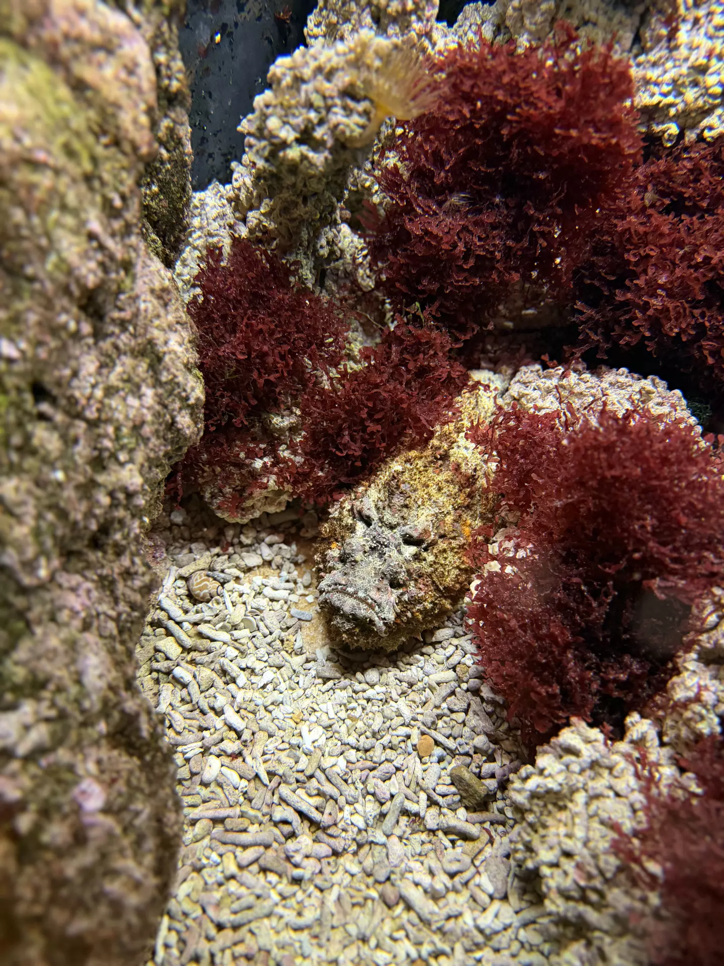 Séjour ✨ Un voyage ludique et culturel au cœur de la Normandie ✨ - Galerie La cité de la mer / deuxième jour