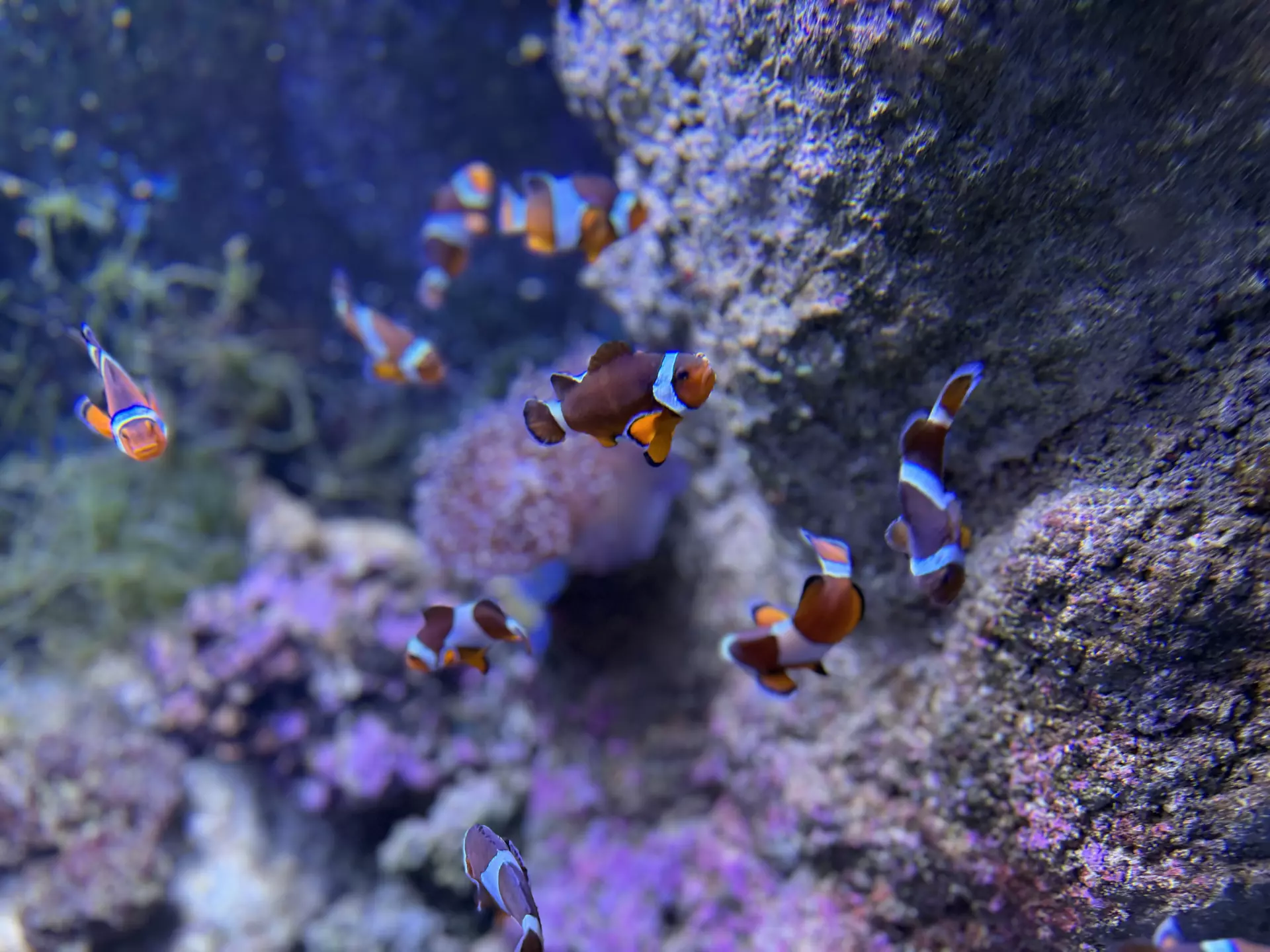 Séjour ✨ Un voyage ludique et culturel au cœur de la Normandie ✨ - Galerie La cité de la mer / deuxième jour