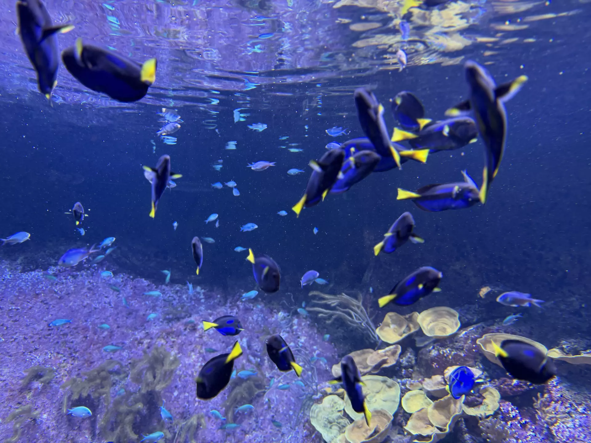 Séjour ✨ Un voyage ludique et culturel au cœur de la Normandie ✨ - Galerie La cité de la mer / deuxième jour