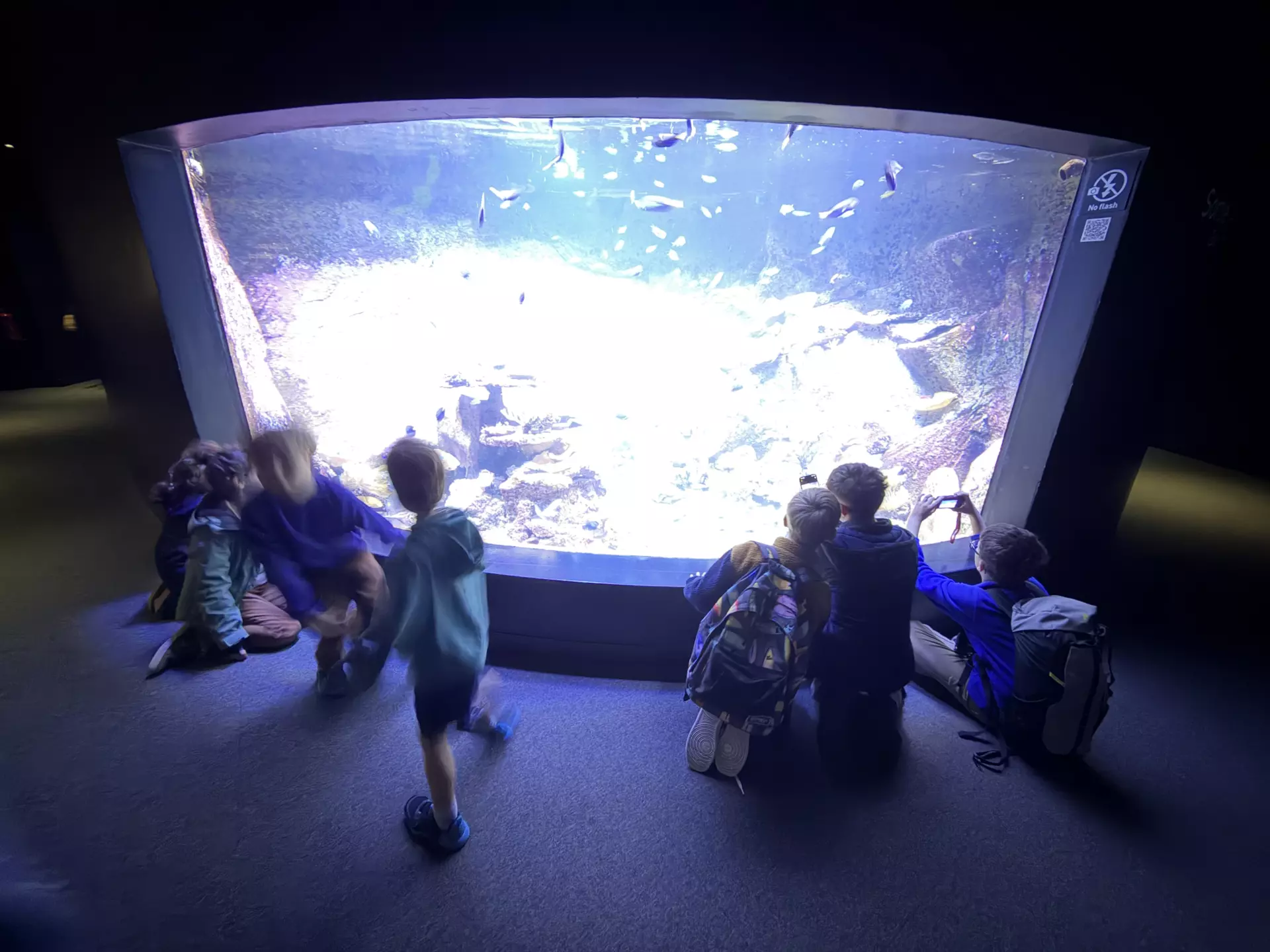 Séjour ✨ Un voyage ludique et culturel au cœur de la Normandie ✨ - Galerie La cité de la mer / deuxième jour