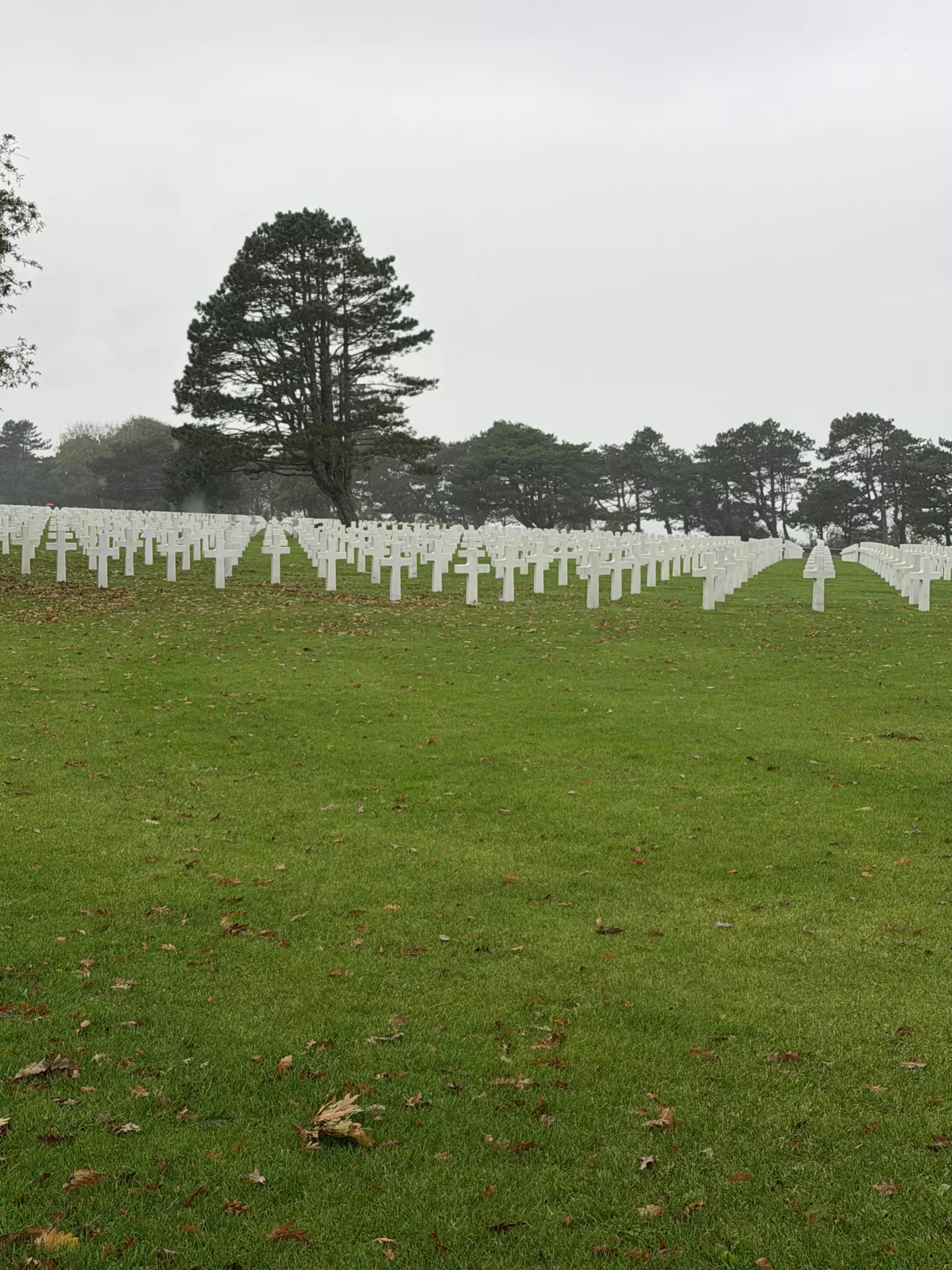 Séjour ✨ Un voyage ludique et culturel au cœur de la Normandie ✨ - Galerie Débarquement de Normandie + cimetière américain / jour 3