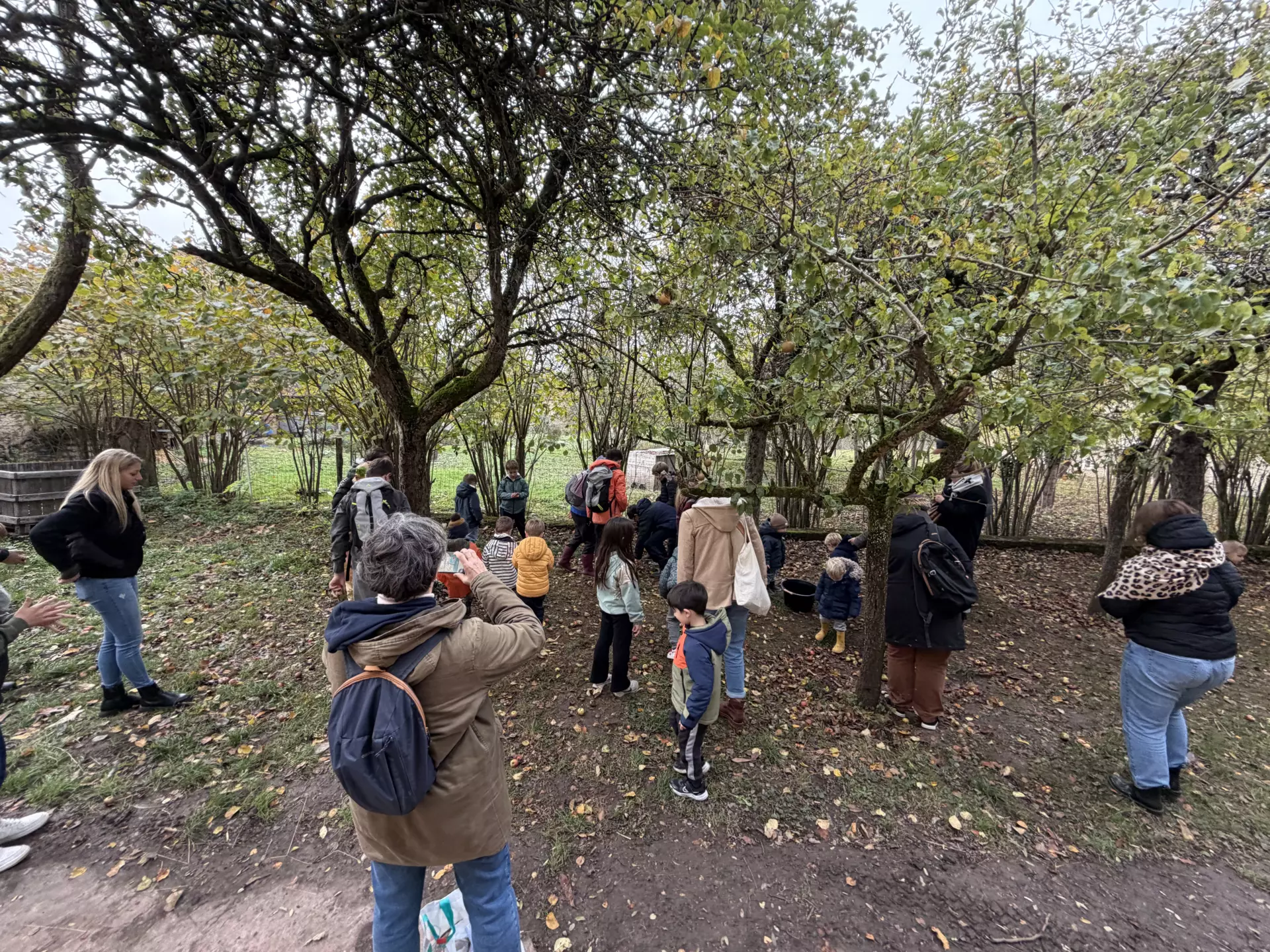 Séjour ✨ Un voyage ludique et culturel au cœur de la Normandie ✨ - Galerie Mont St Michel et visite de la ferme / jour 4