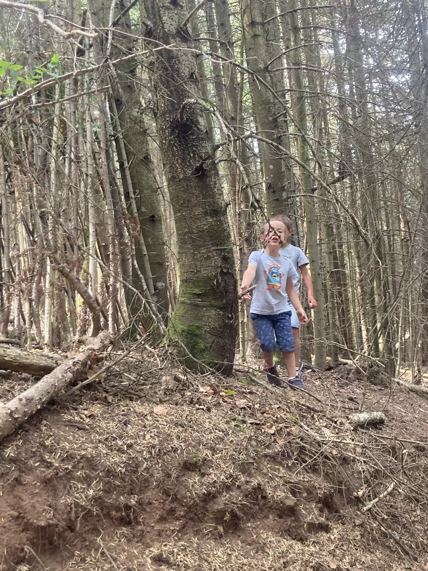 Centre de Siaugues Sainte Marie - Vacances - Galerie semaine du 25 au 29 juillet