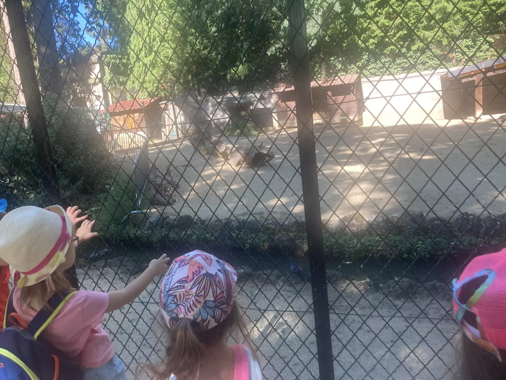 Centre de Siaugues Sainte Marie - Vacances - Galerie semaine du 1 au 5 aout "