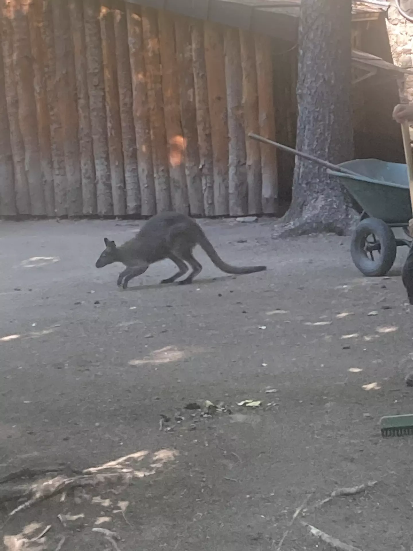 Centre de Siaugues Sainte Marie - Vacances - Galerie semaine du 1 au 5 aout "