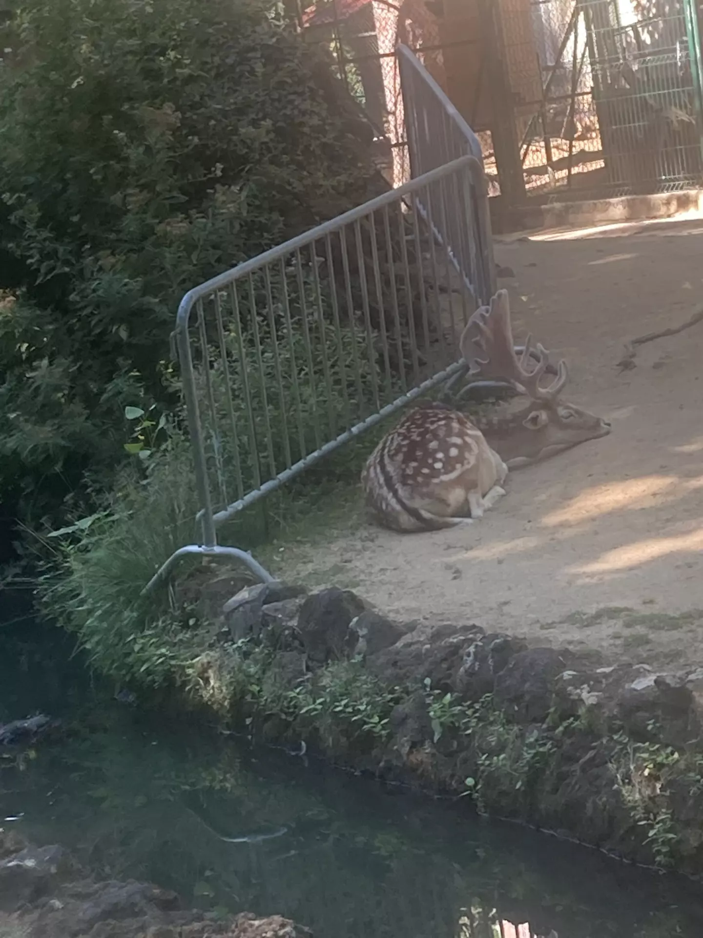 Centre de Siaugues Sainte Marie - Vacances - Galerie semaine du 1 au 5 aout "