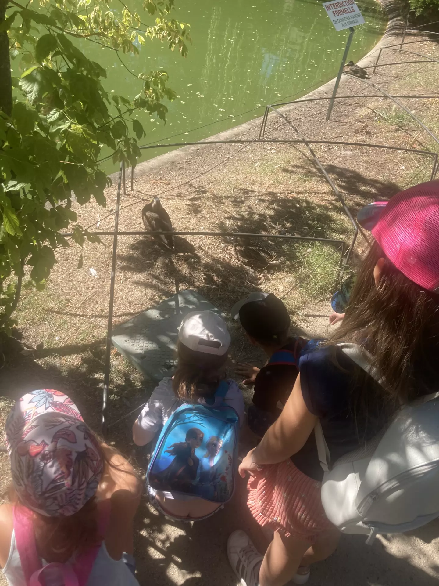 Centre de Siaugues Sainte Marie - Vacances - Galerie semaine du 1 au 5 aout "