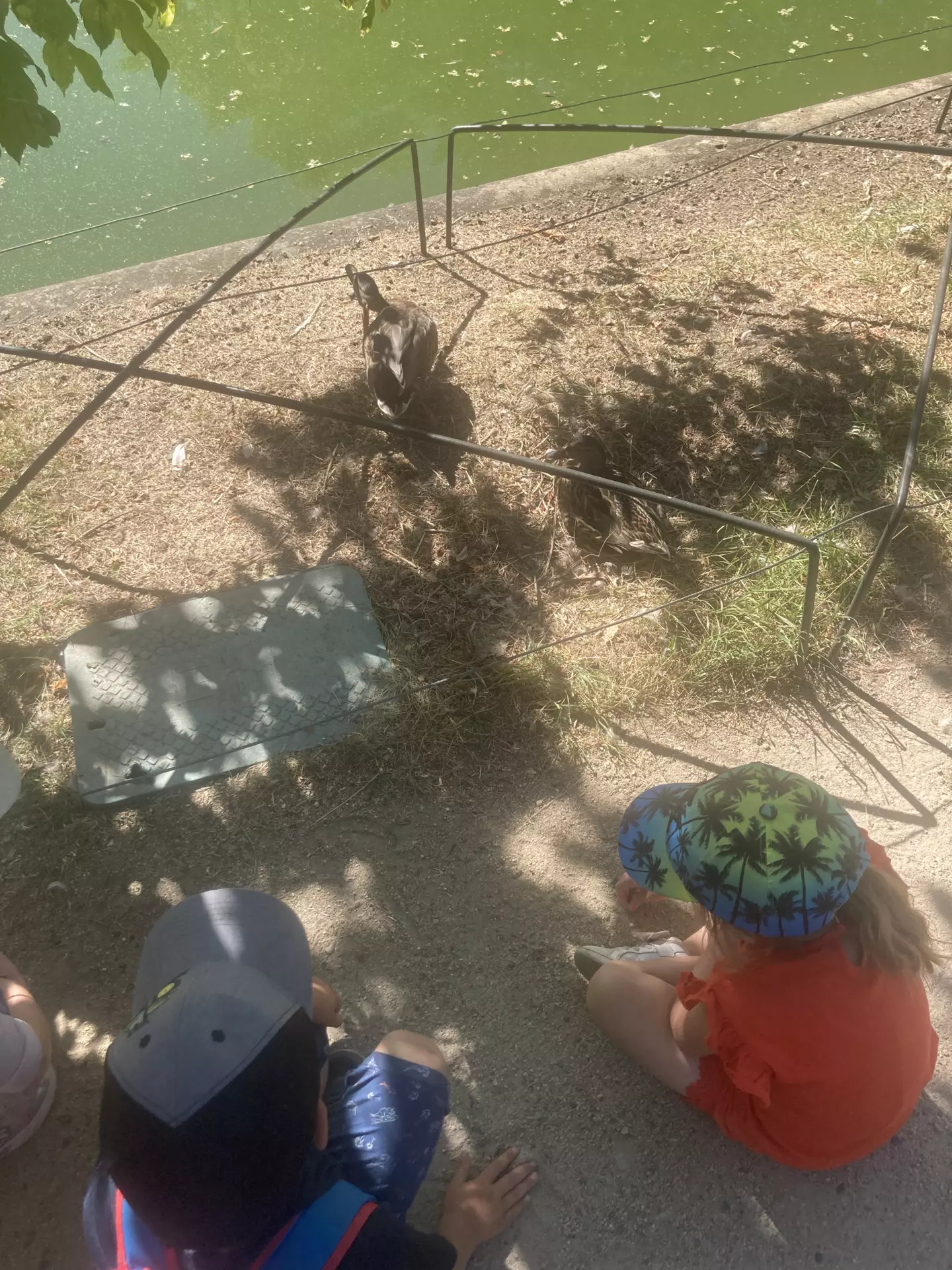 Centre de Siaugues Sainte Marie - Vacances - Galerie semaine du 1 au 5 aout "