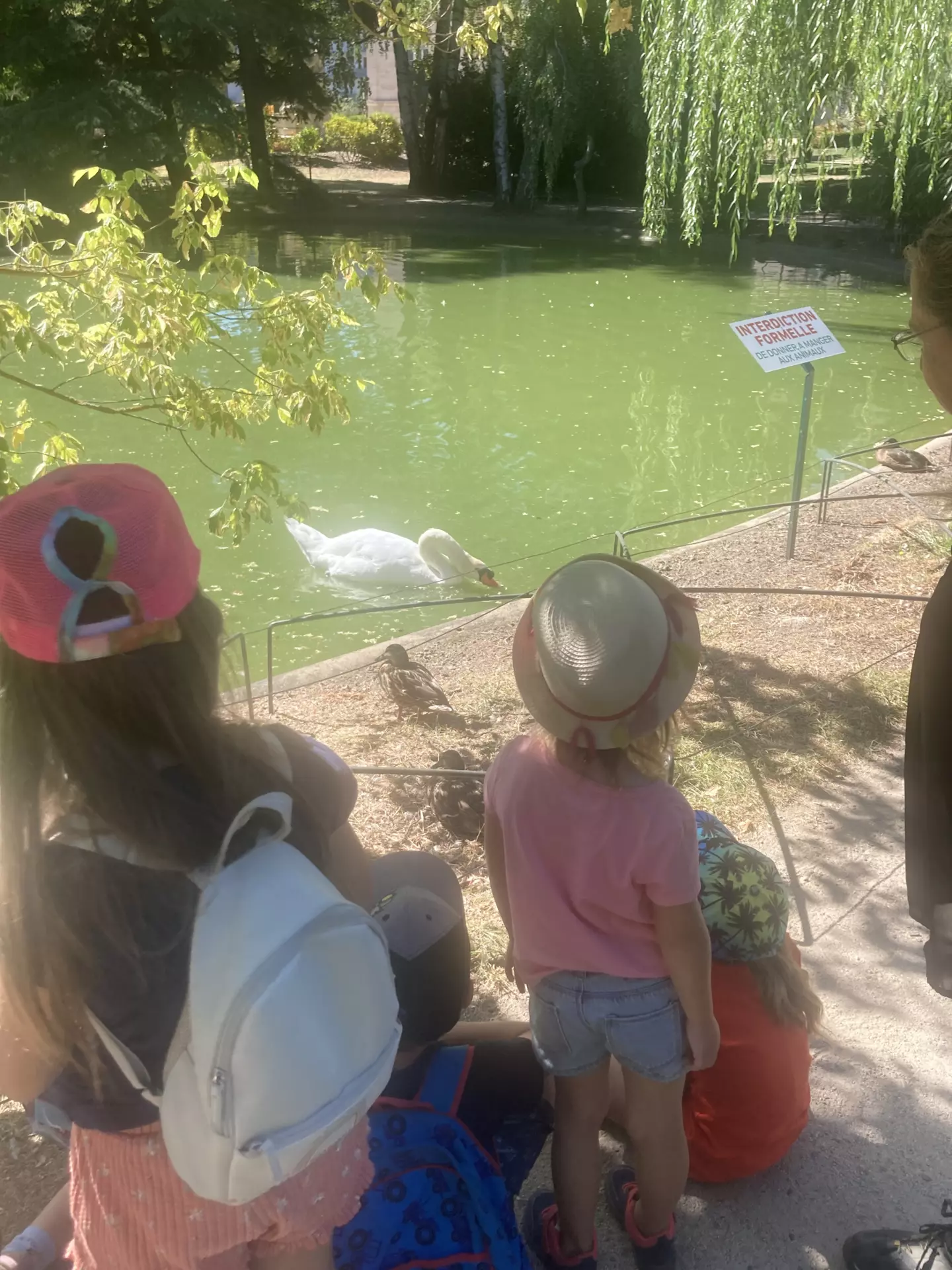 Centre de Siaugues Sainte Marie - Vacances - Galerie semaine du 1 au 5 aout "