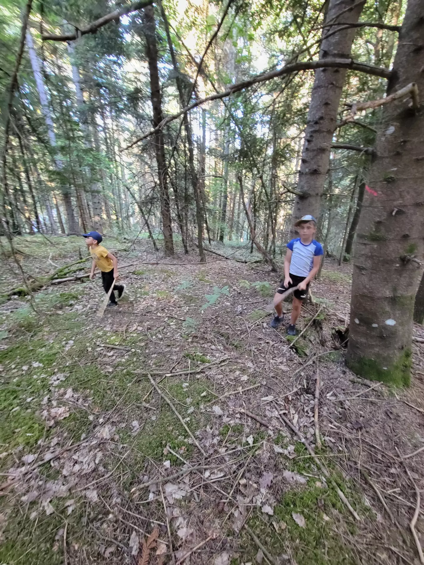Centre de Siaugues Sainte Marie - Vacances - Galerie Eté 2025