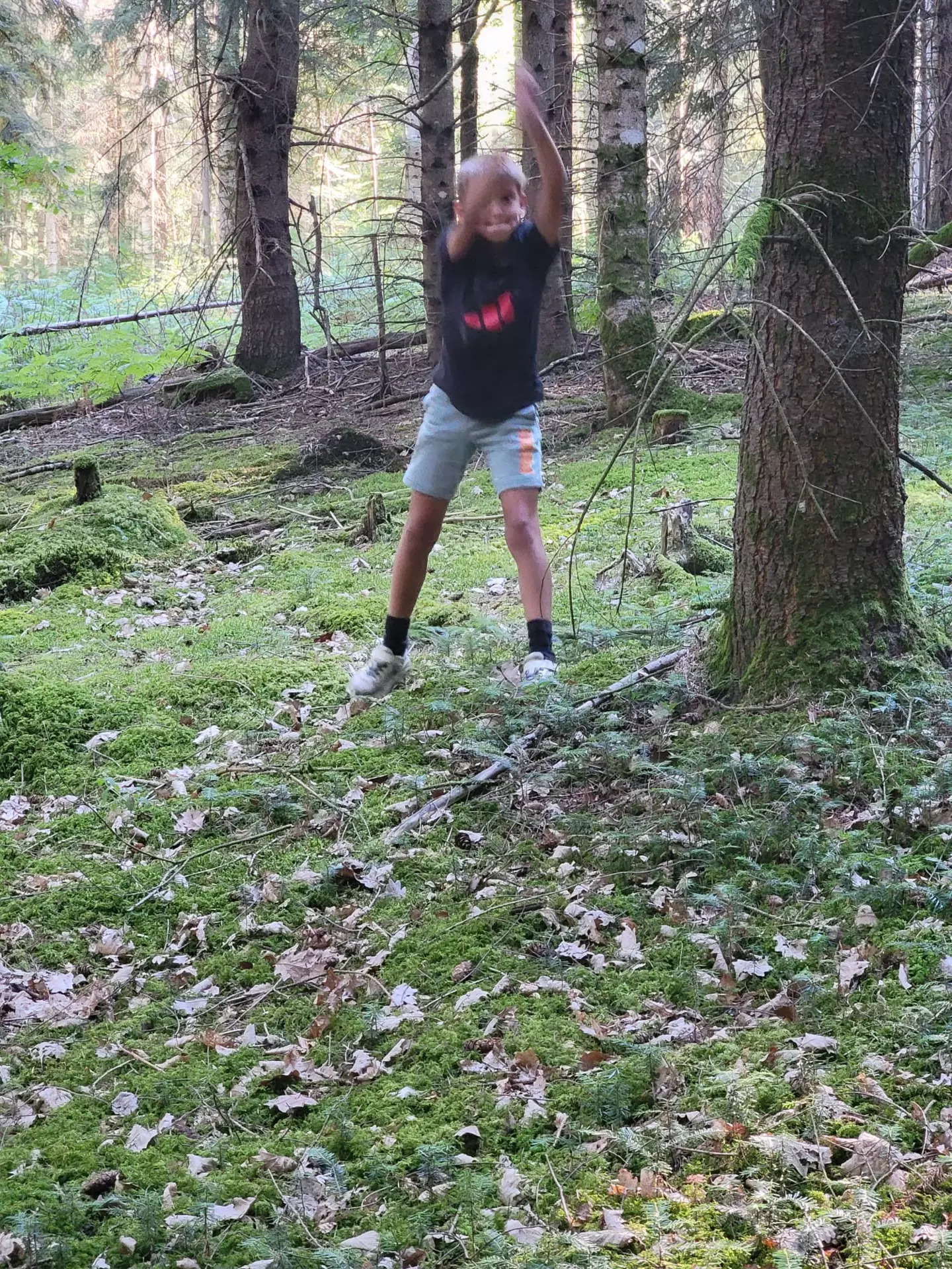 Centre de Siaugues Sainte Marie - Vacances - Galerie Eté 2025