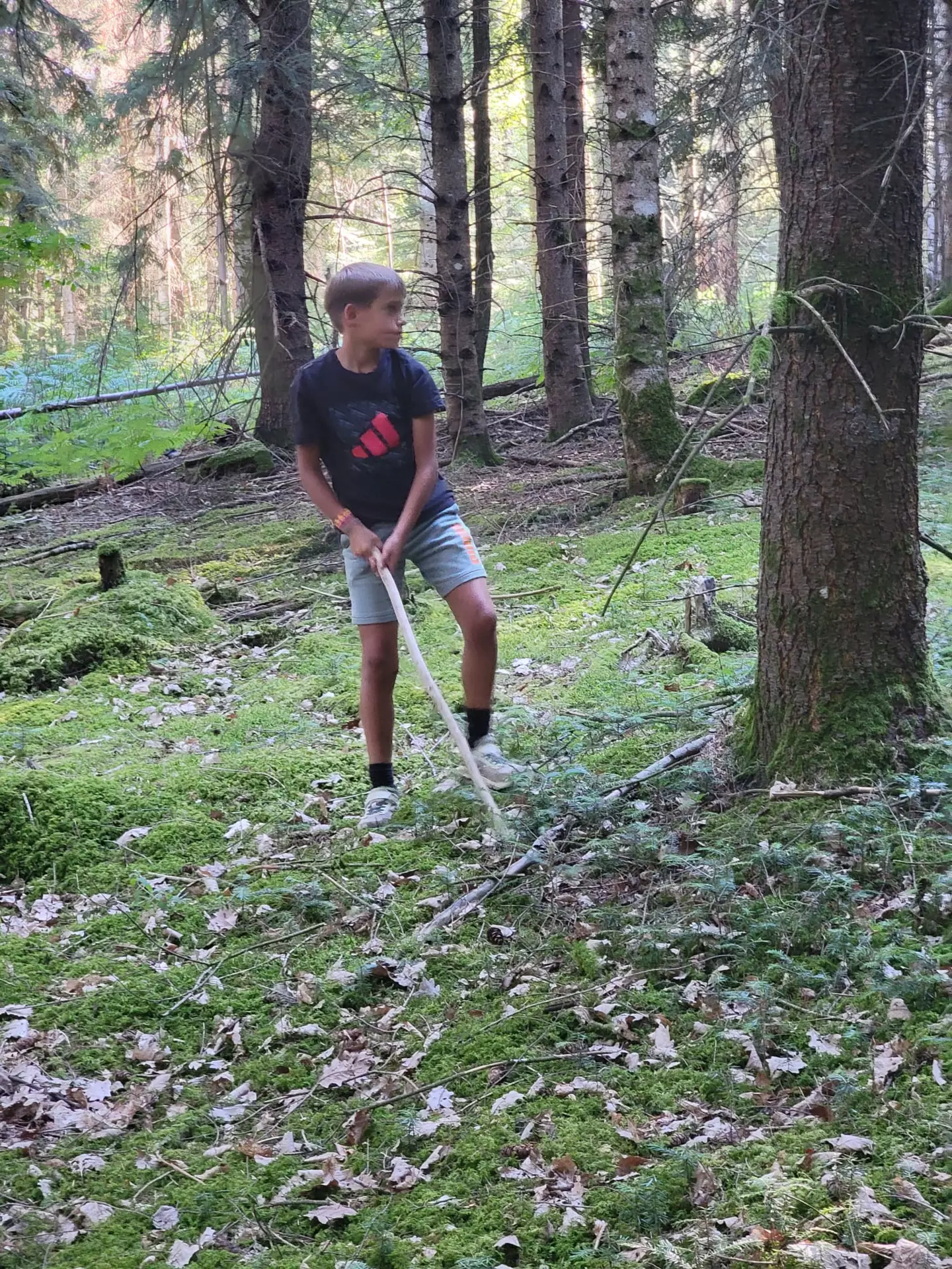 Centre de Siaugues Sainte Marie - Vacances - Galerie Eté 2025